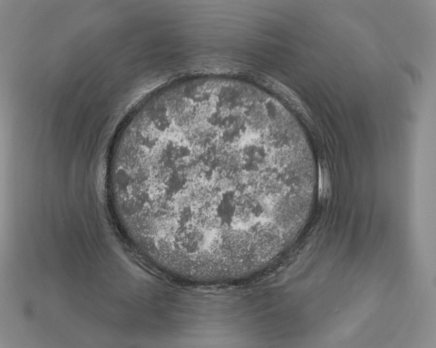 X0000112890627200910021415