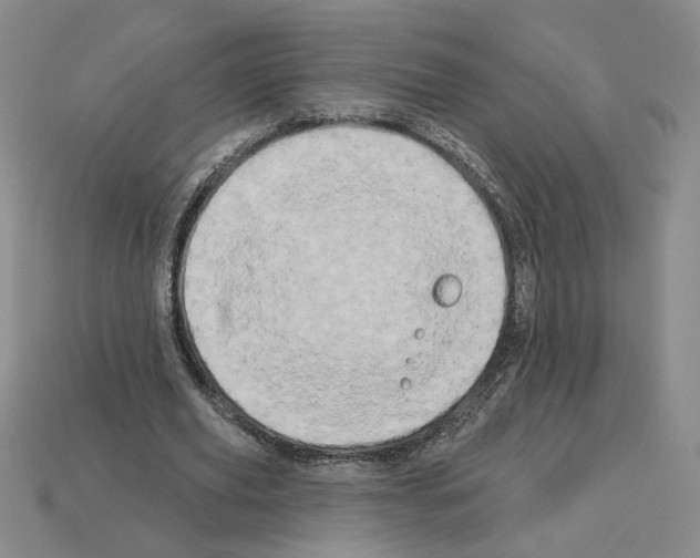 X0000112890629200910021415