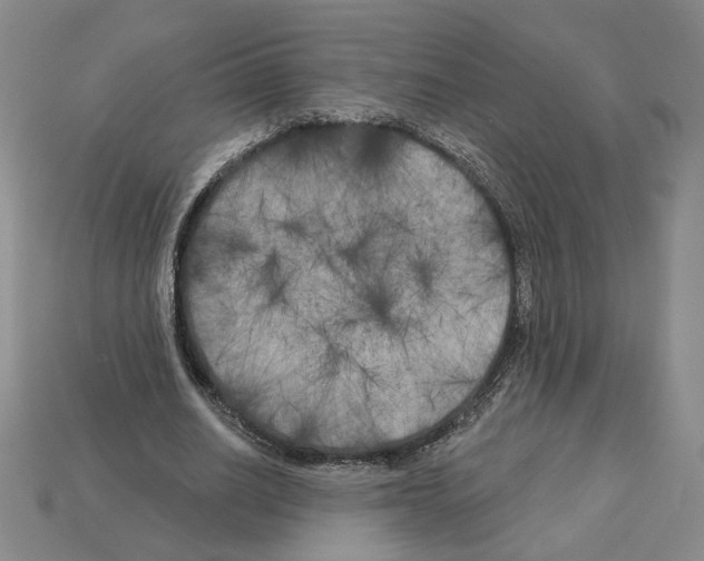 X0000112890630200910021415
