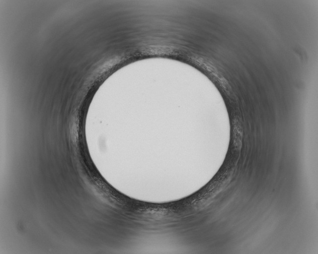 X0000112890631200910021415
