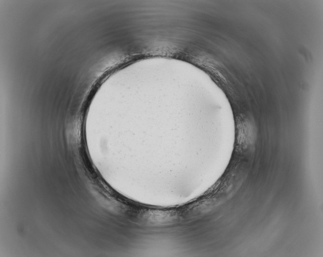 X0000112890632200910021415