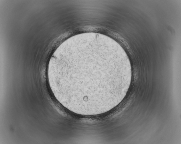 X0000112890633200910021415