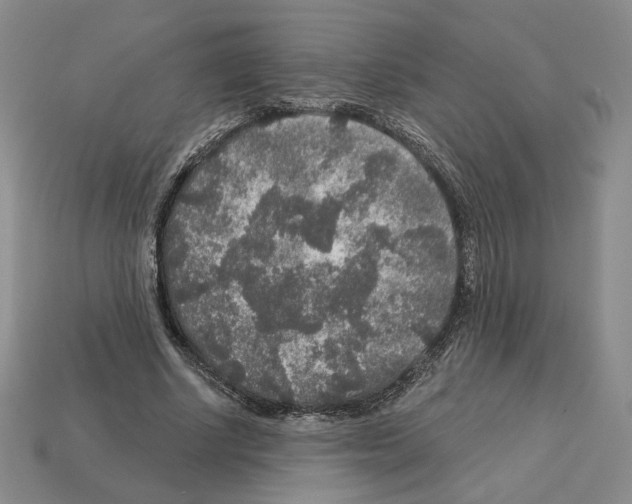 X0000112890634200910021415