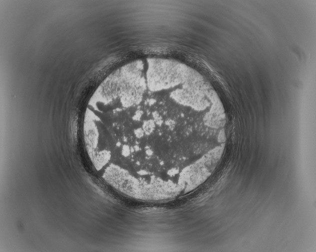 X0000112890637200910021415