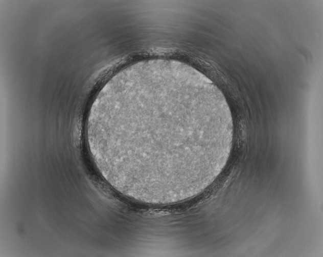 X0000112890640200910021415