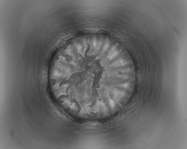 X0000112890642200910021415