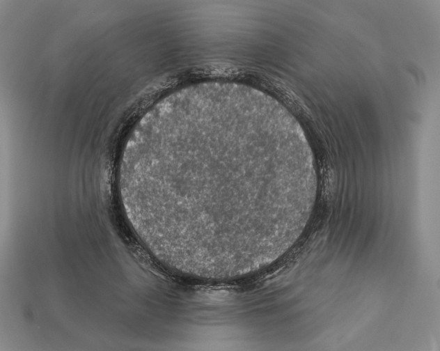 X0000112890643200910021415