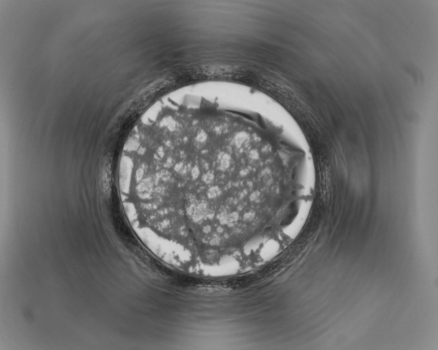 X0000112890644200910021415