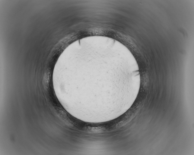 X0000112890645200910021415