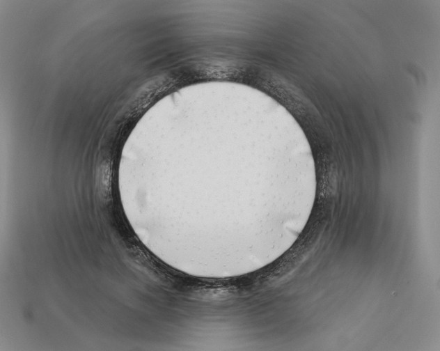 X0000112890646200910021415