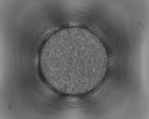 X0000112890648200910021415