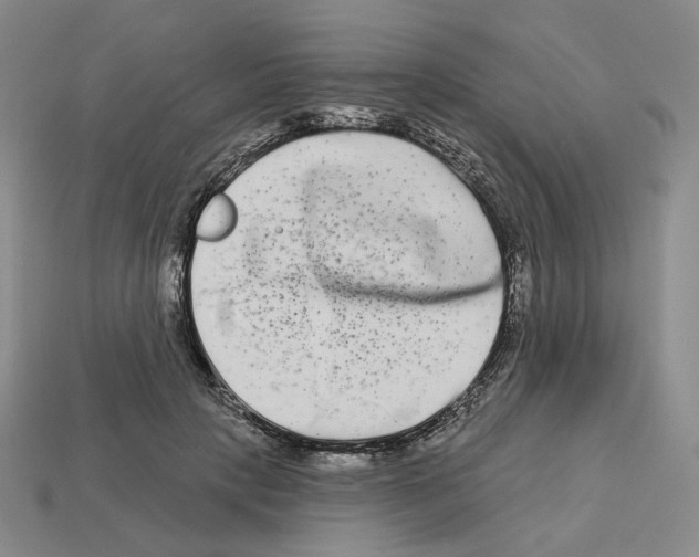 X0000112890649200910021415