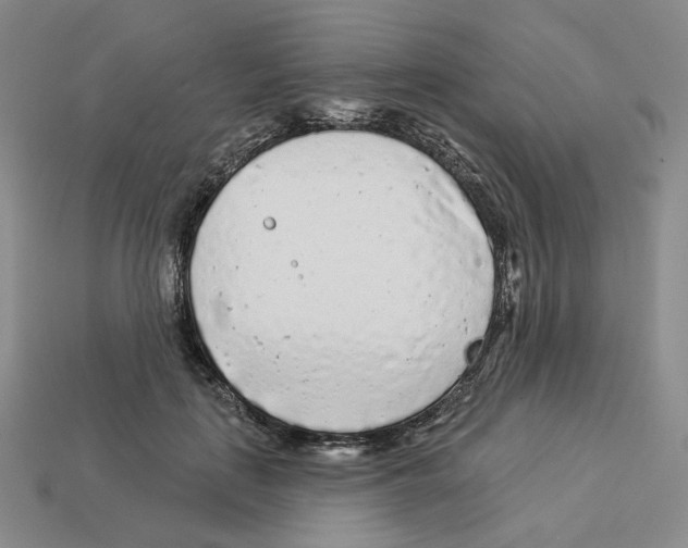 X0000112890651200910021415