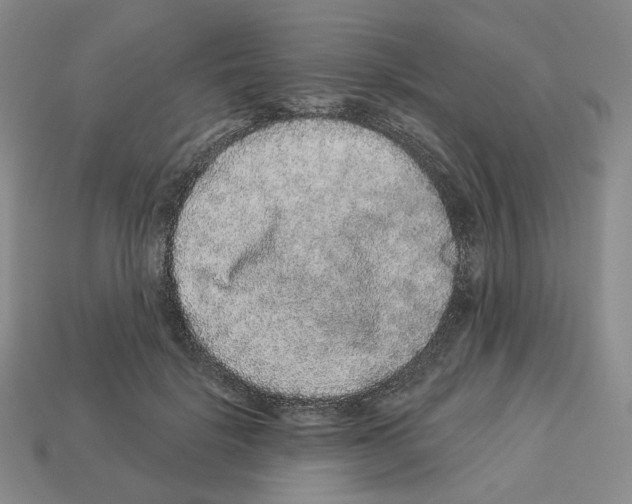 X0000112890652200910021415