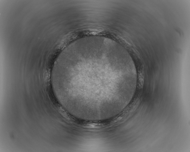 X0000112890657200910021415