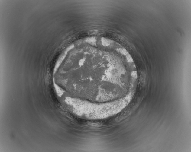 X0000112890659200910021415