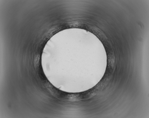 X0000112890660200910021415