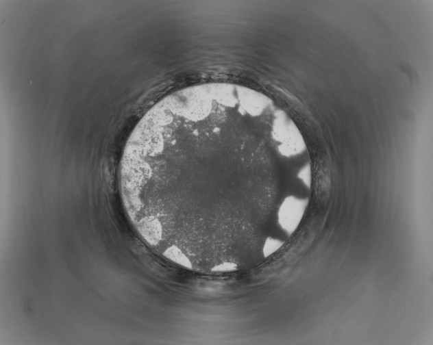 X0000112890661200910021415