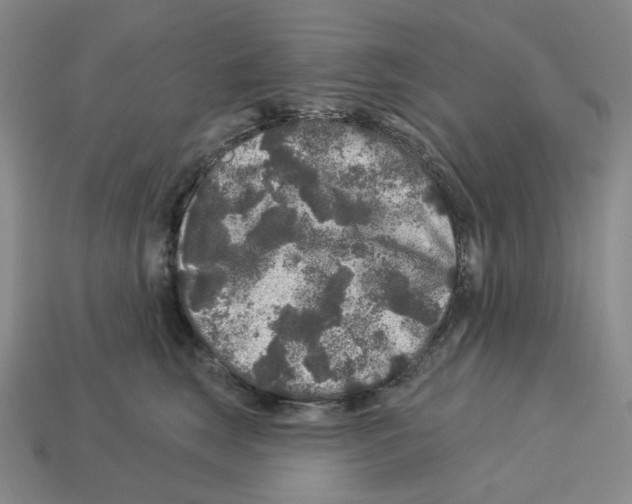 X0000112890663200910021415