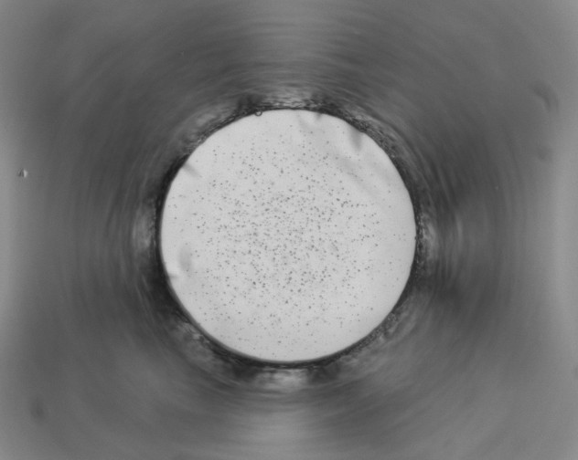 X0000112890665200910021415
