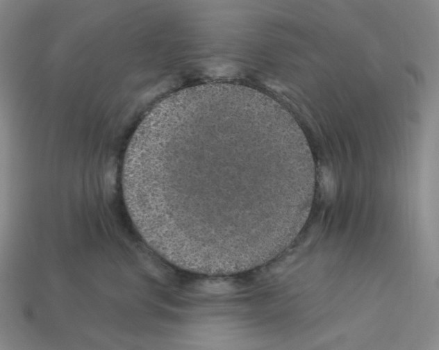 X0000112890668200910021415