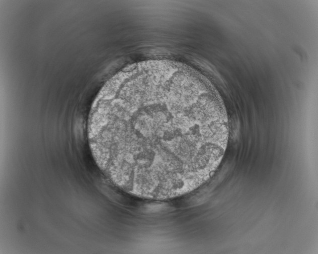 X0000112890669200910021415