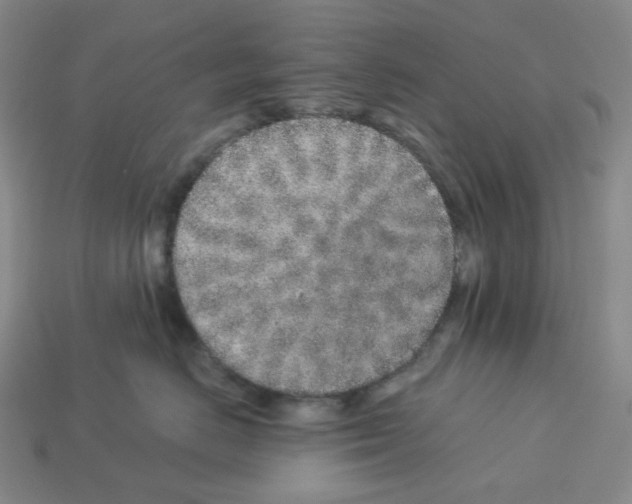 X0000112890670200910021415