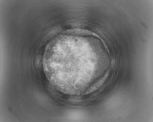 X0000112890671200910021415