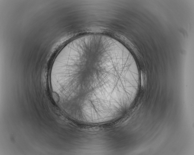 X0000112890675200910021415