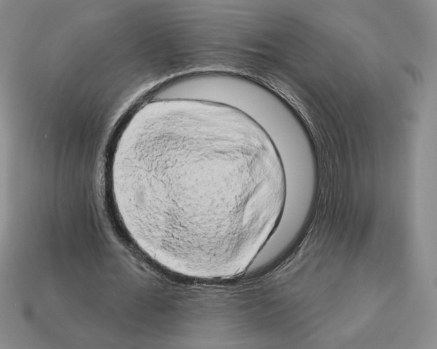 X0000112890676200910021415