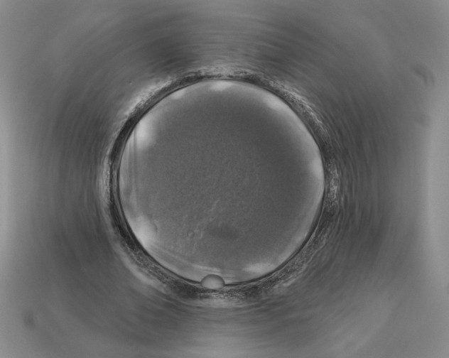 X0000112890678200910021415