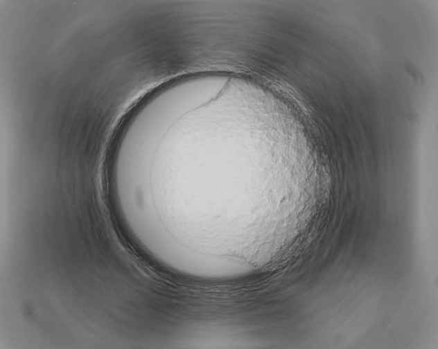 X0000112890680200910021415