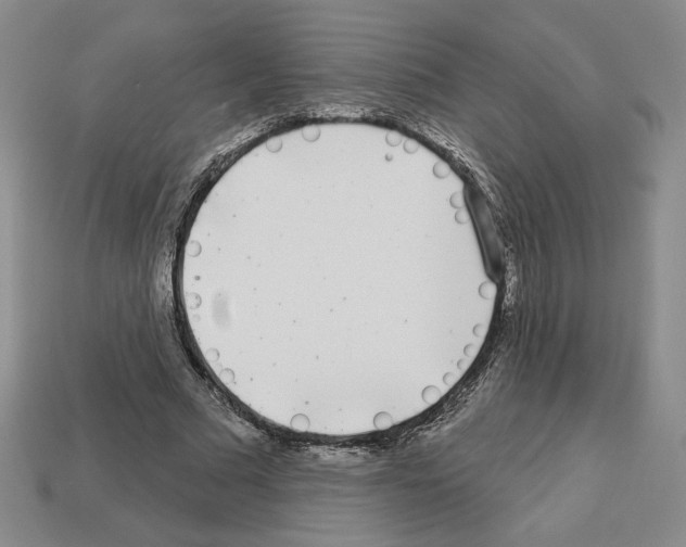 X0000112890681200910021415
