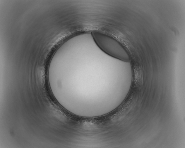 X0000112890684200910021415