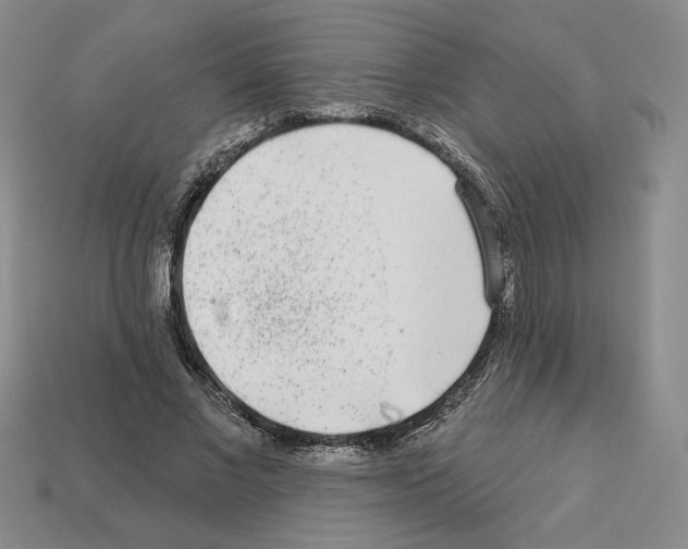 X0000112890685200910021415