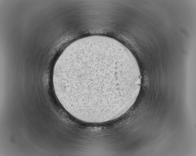 X0000112890687200910021415
