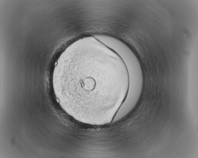 X0000112890688200910021415