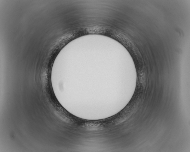 X0000112890690200910021415