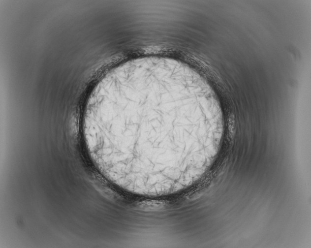 X0000112890691200910021415