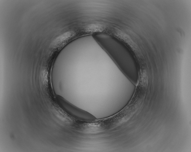 X0000112890692200910021415