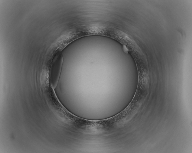 X0000112890696200910021415