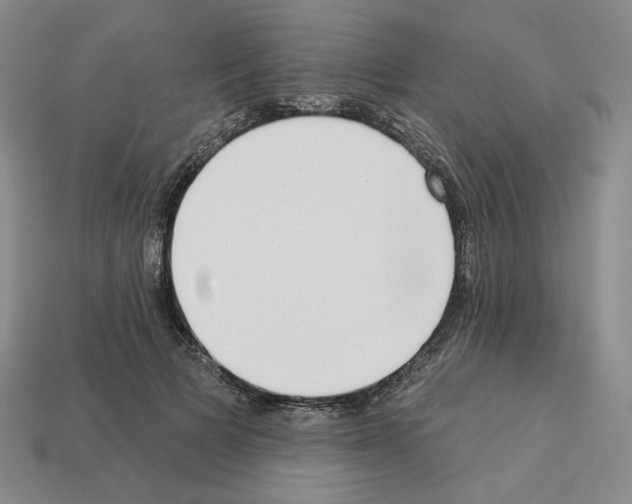 X0000112890697200910021415