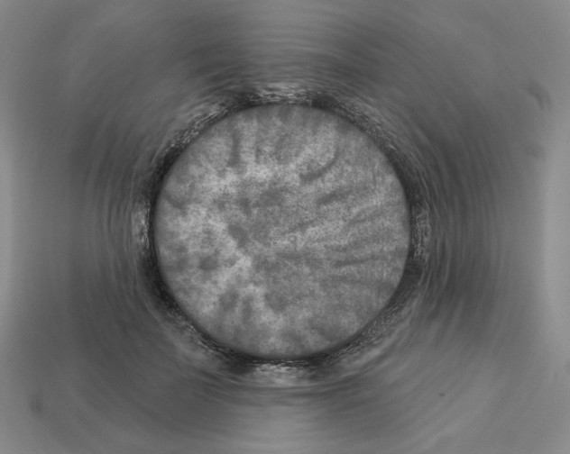 X0000112890699200910021415