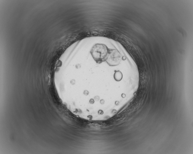 X0000112890703200910021414