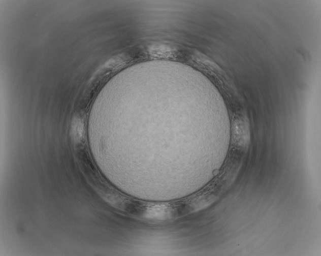 X0000112890705200910021414