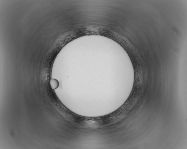 X0000112890706200910021414