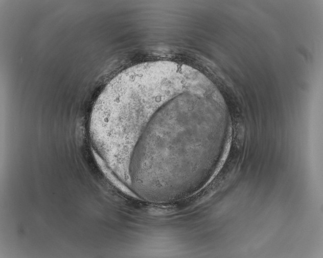 X0000112890707200910021414