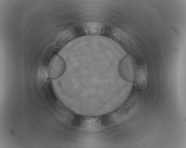 X0000112890709200910021414