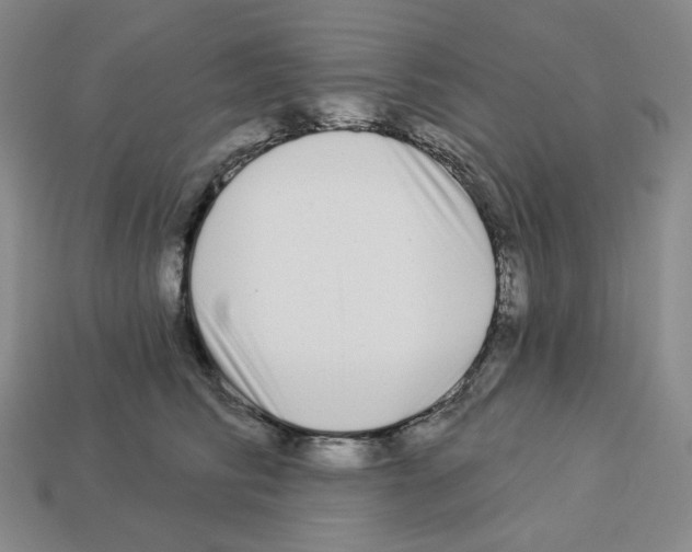 X0000112890710200910021414
