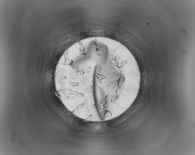 X0000112890711200910021414